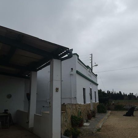 Casa Rural Masia D'En Gall L'Aldea Exteriér fotografie