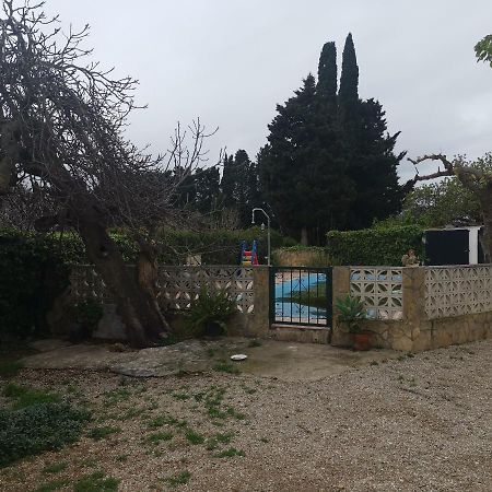 Casa Rural Masia D'En Gall L'Aldea Exteriér fotografie