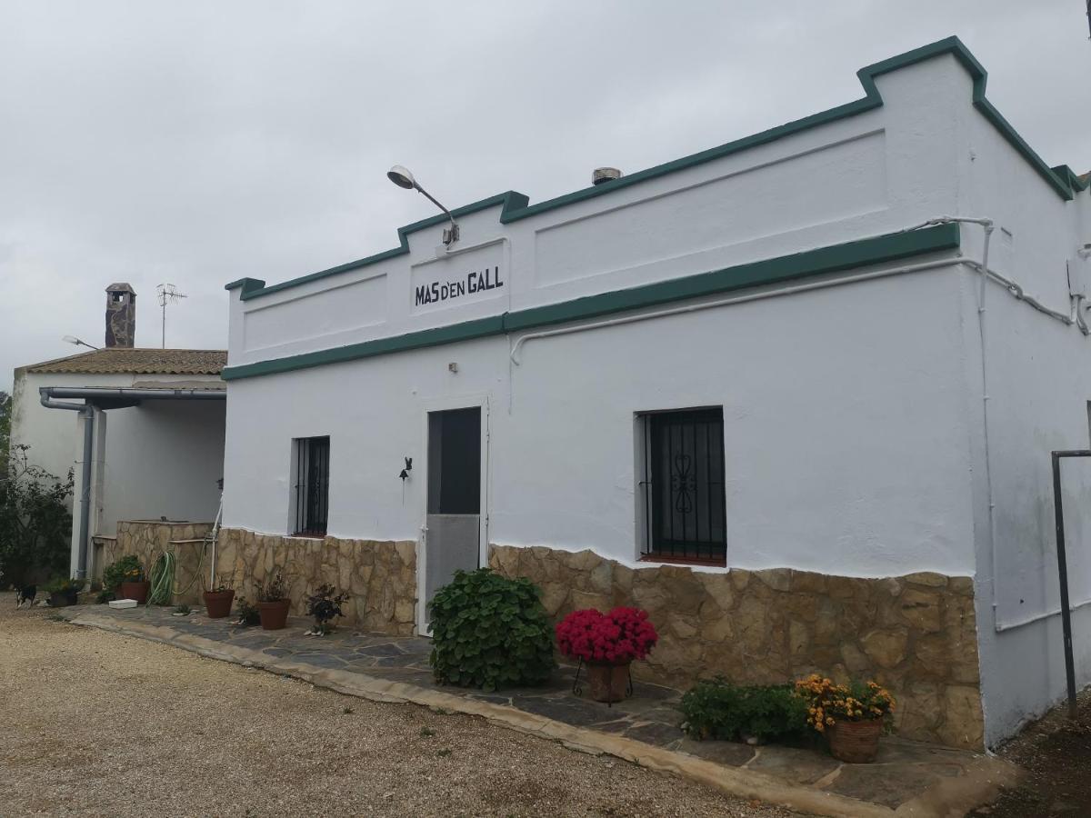Casa Rural Masia D'En Gall L'Aldea Exteriér fotografie